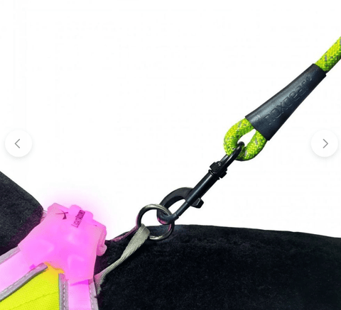 Image of Noxgear High Visibility Durable Reflective Dog Leash