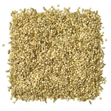 Wingz Avian Products Parakeet Mix