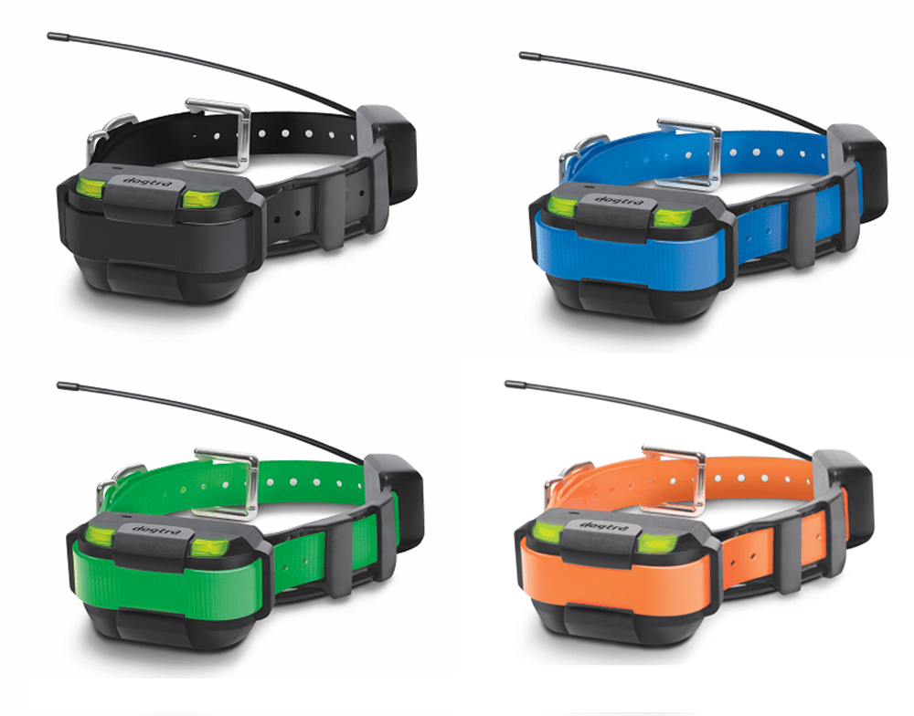 Dogtra sales pathfinder collar