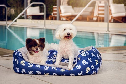 Image of Petique Anchor’s Away Pet Bed