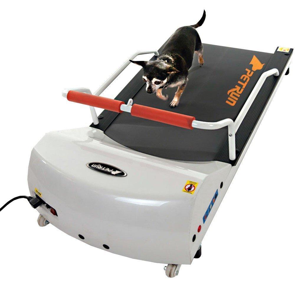 Exercise Treadmill For Small Dogs And Cats up to 44 lbs-GoPet PetRun PR700 Pet Treadmill