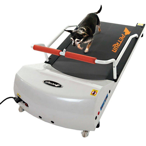 Image of Exercise Treadmill For Small Dogs And Cats up to 44 lbs-GoPet PetRun PR700 Pet Treadmill