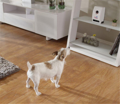 Image of Watz Petzi Treat Cam