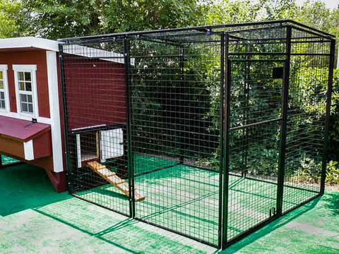 Image of OverEZ Amish Medium Chicken Coops - Up to 10 Chickens