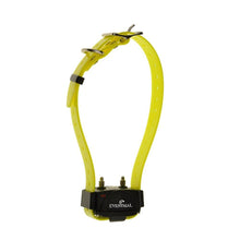 Eyenimal Extra Collar/Receiver for Remote Trainer