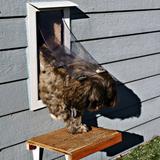 Hale Pet Door For Walls | Secure In Wall Mount