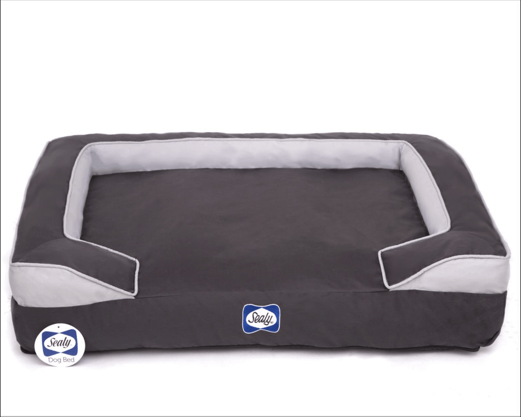 Sealy dog sales bed extra large