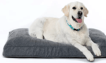 Club Nine Pets Soho Rivoli Pet Bed