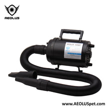 Aeolus Cyclone Super Single Motor Dryer