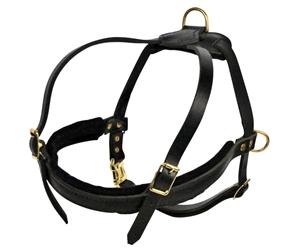 Image of "The Cowboy" Leather Harness For Small To Extra Large Dogs By Dean & Tyler