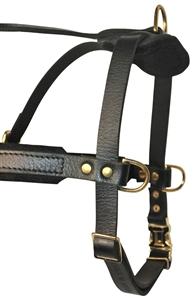 "The Cowboy" Leather Harness For Small To Extra Large Dogs