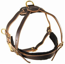 "The Cowboy" Leather Harness For Small To Extra Large Dogs By Dean & Tyler