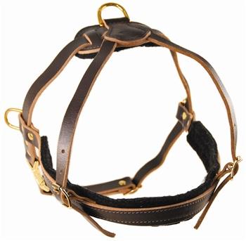 Image of "The Cowboy" Leather Harness For Small To Extra Large Dogs By Dean & Tyler