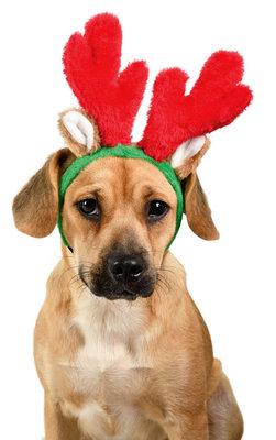 Zippy Paws Christmas Antlers Headband