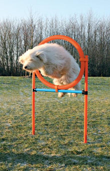 Trixie Pet Agility Ring for Dogs