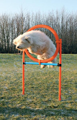 Image of Trixie Pet Agility Ring for Dogs