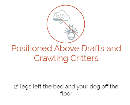 Image of Club Nine Pet Traditional Pet Chair
