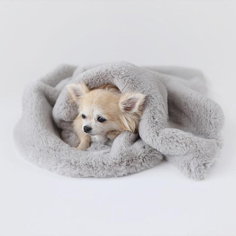 Image of Divine Dog Blanket