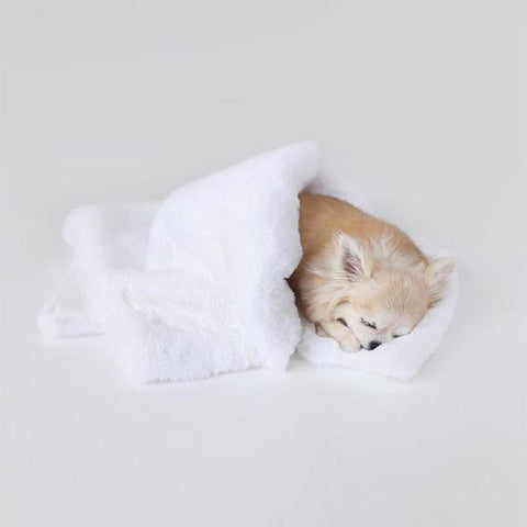 Image of Divine Dog Blanket