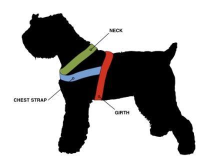 Shoulder Strap Buckle for Dog Harnesses 16 - 25 mm, Nickel Plated