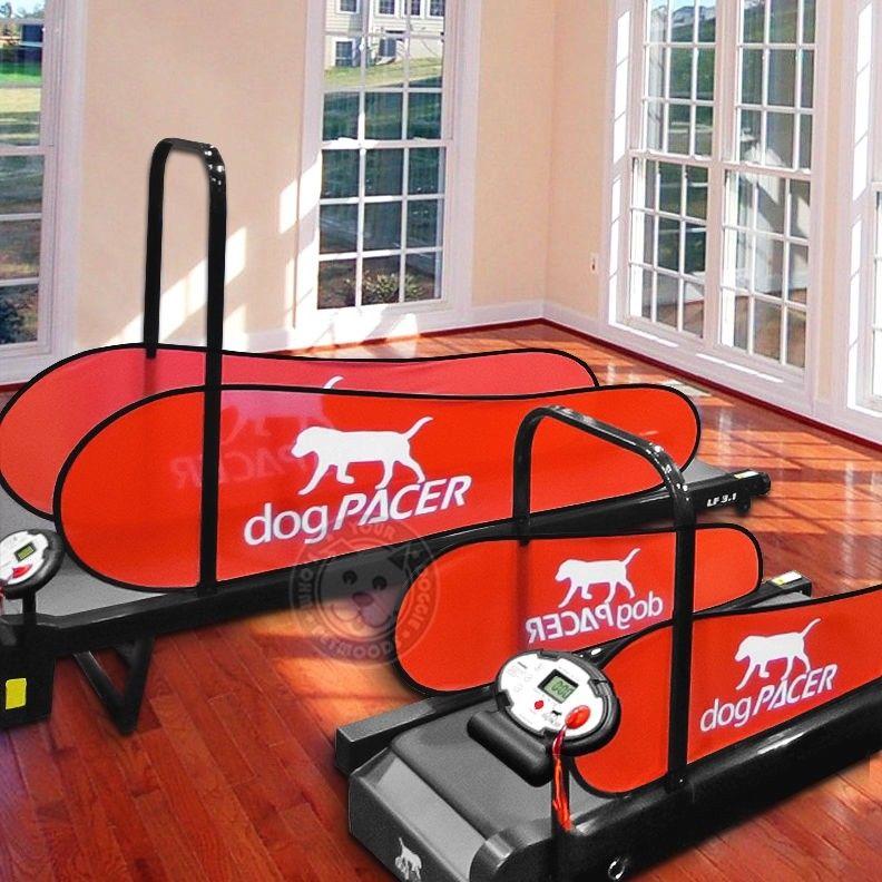 dogPACER LF 3.1 Folding Dog Treadmill For Medium/ Large Dogs