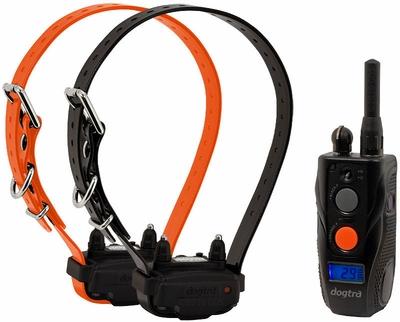 Image of Dogtra 282C Two Dog Remote Training System