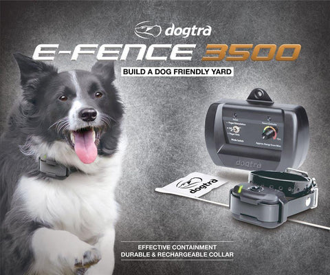 Image of Dogtra E-Fence 3500 RX In-Ground Dog Fence Collar