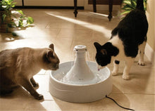 Drinkwell 360 Fountain