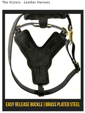 Image of "Victory Leather Harness" For Medium To Extra Large Dogs