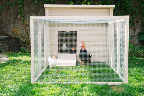 Image of New Age Farm™ & Garden Fontana Chicken Barn