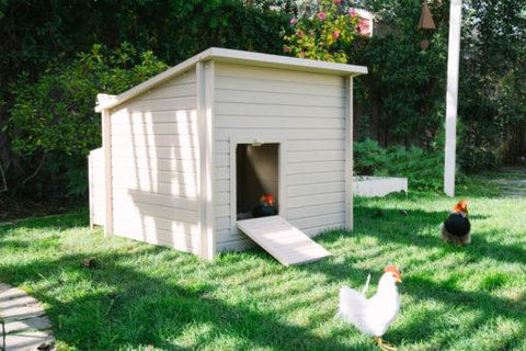 Image of New Age Farm™ & Garden Fontana Chicken Barn