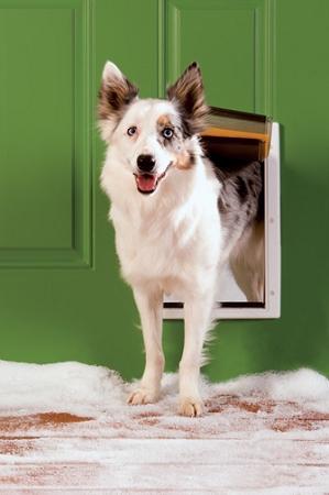 Image of PetSafe Extreme Weather Pet Door