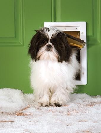 Image of PetSafe Extreme Weather Pet Door
