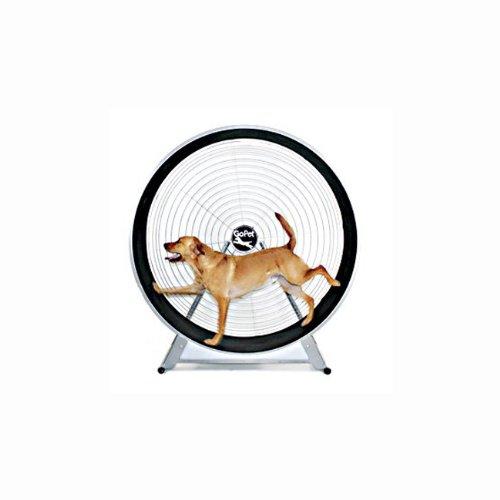 GoPet Indoor Exercise Treadwheel For Large Dogs And Cats <150lbs