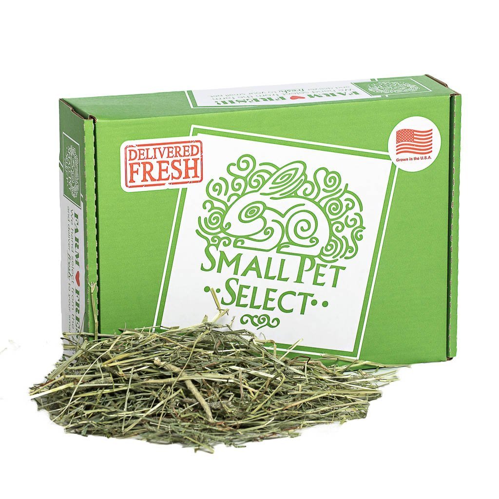 Small Pet Select Premium 100% Natural 1st Cutting "High Fiber" Timothy Hay