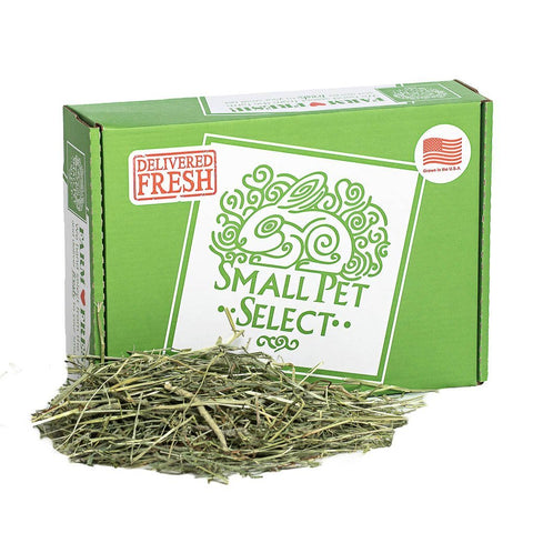 Image of Small Pet Select Premium 100% Natural 1st Cutting "High Fiber" Timothy Hay