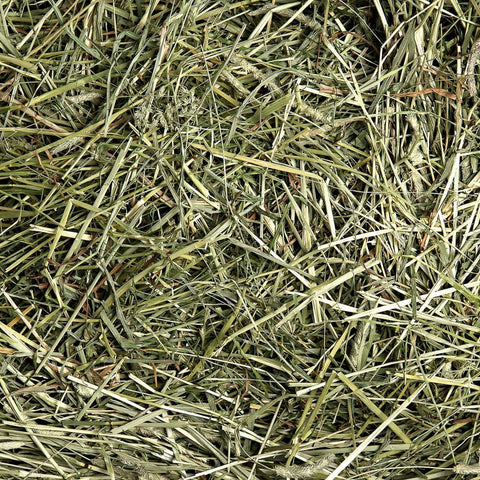 Image of Small Pet Select Premium 100% Natural 1st Cutting "High Fiber" Timothy Hay