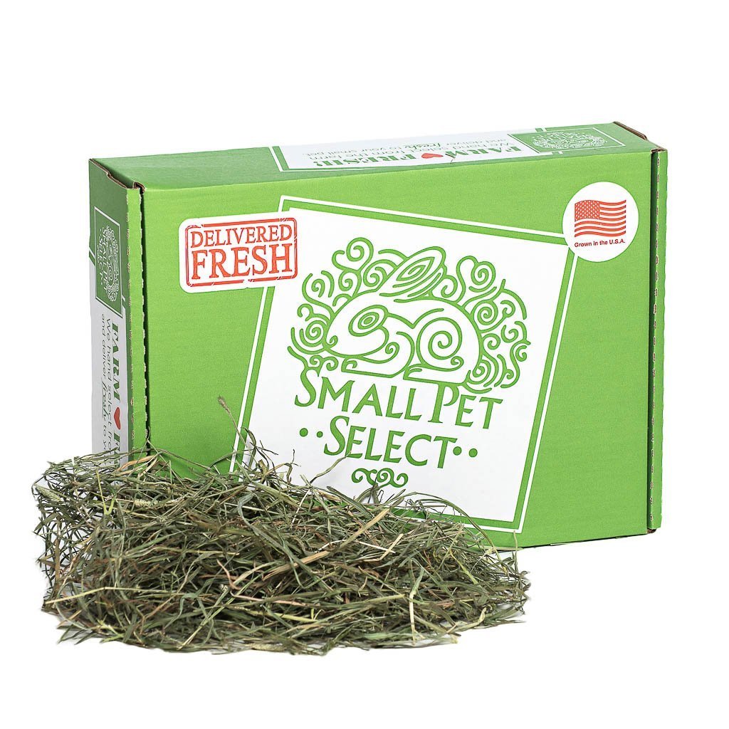 Small Pet Select Premium 100% Natural 3rd Cutting "Super Soft" Timothy Hay