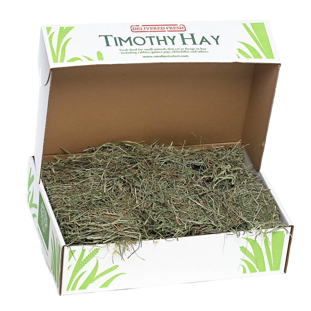 Small Pet Select Premium 100% Natural 3rd Cutting "Super Soft" Timothy Hay