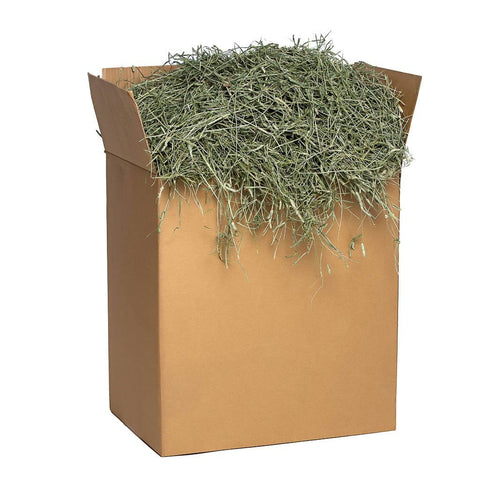 Image of Small Pet Select Premium 100% Natural 3rd Cutting "Super Soft" Timothy Hay