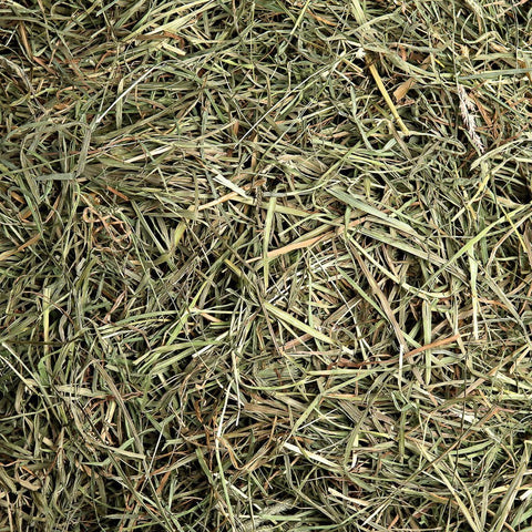Image of Small Pet Select Premium 100% Natural 3rd Cutting "Super Soft" Timothy Hay