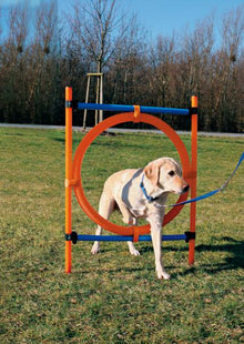 Trixie Pet Agility Ring for Dogs