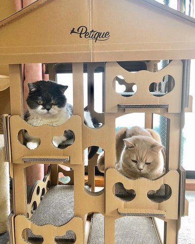 Image of Petique Feline Chateau House Cat House