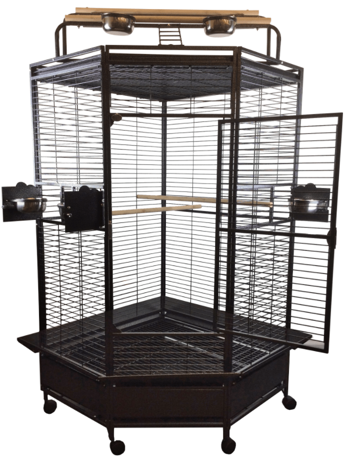 A& E Cage Co.  Large Corner Parrot Cage  33''x33''x72''