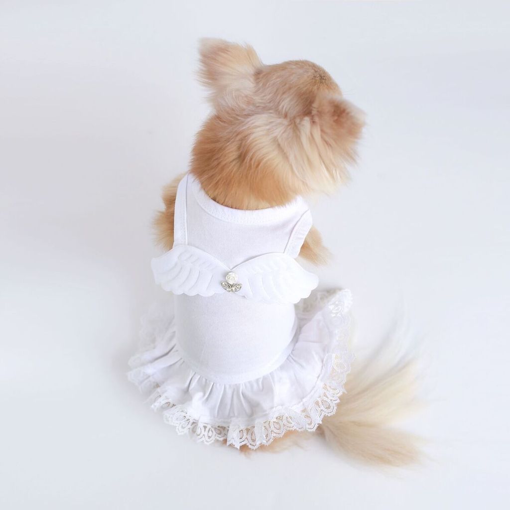 Lil' Angel Luxurious Lace & Cotton Dog Dress