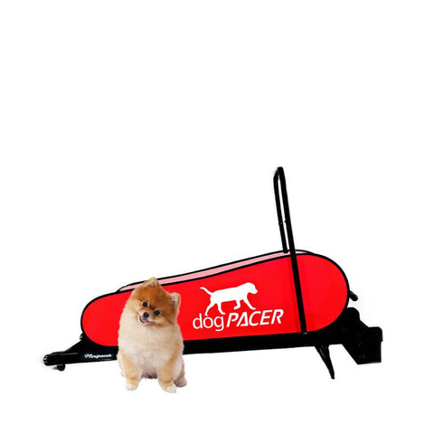 Image of dogPACER Minipacer Indoor Exercise Treadmill For Toy/Small Breed Pets