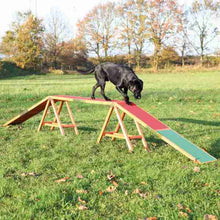 Trixie Pet Agility Dog Walk for Dogs