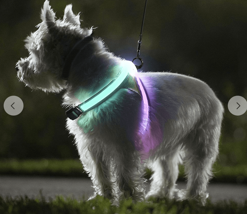 Noxgear LightHound - Multicolor LED Illuminated, Reflective Dog Harness