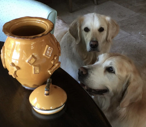 Image of Carmel Ceramica Dog Treat Jar