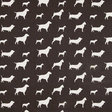 Pink Paws Buddy Pet Step